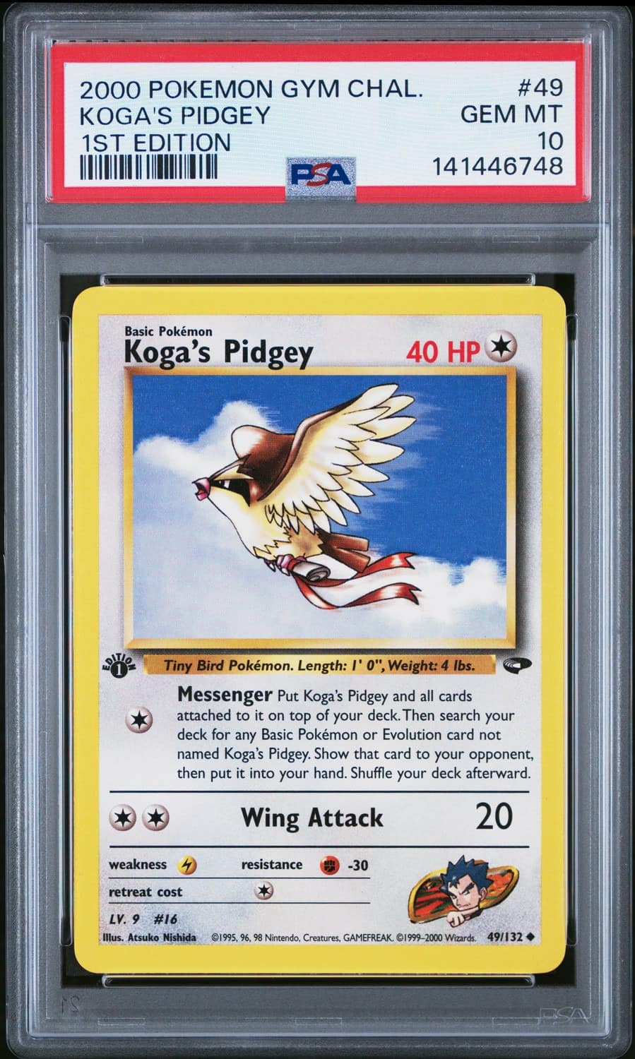 Koga'S Pidgey
