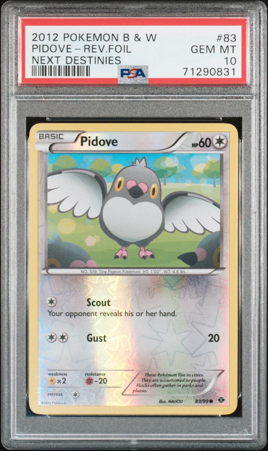 Pidove