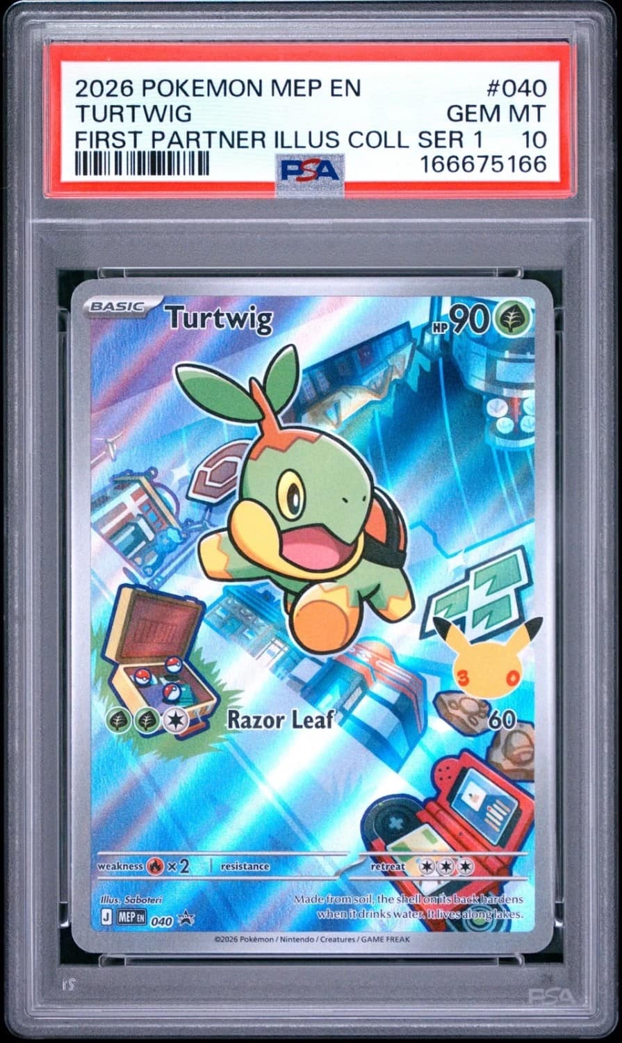Turtwig