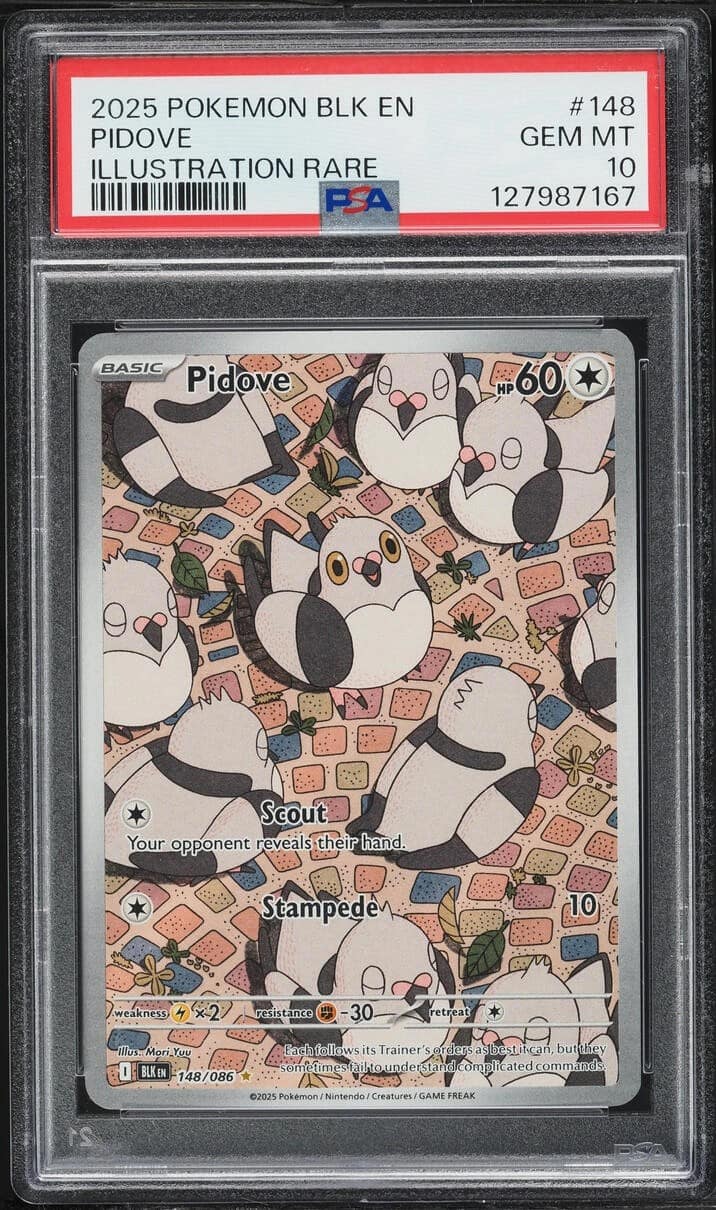 Pidove