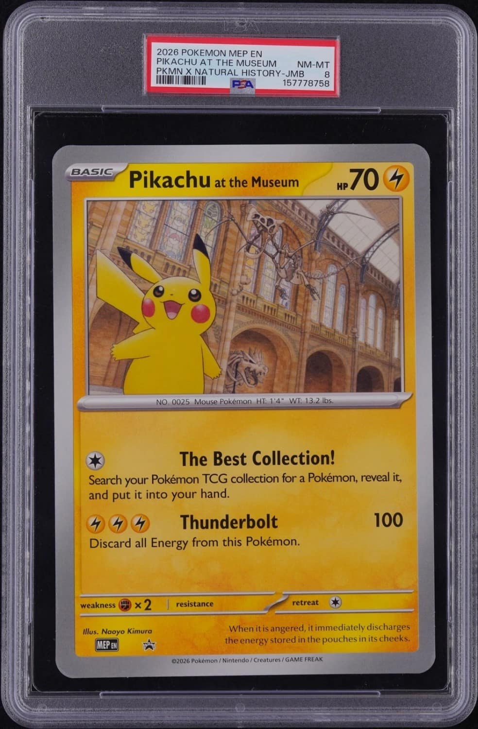 Pikachu At The Museum