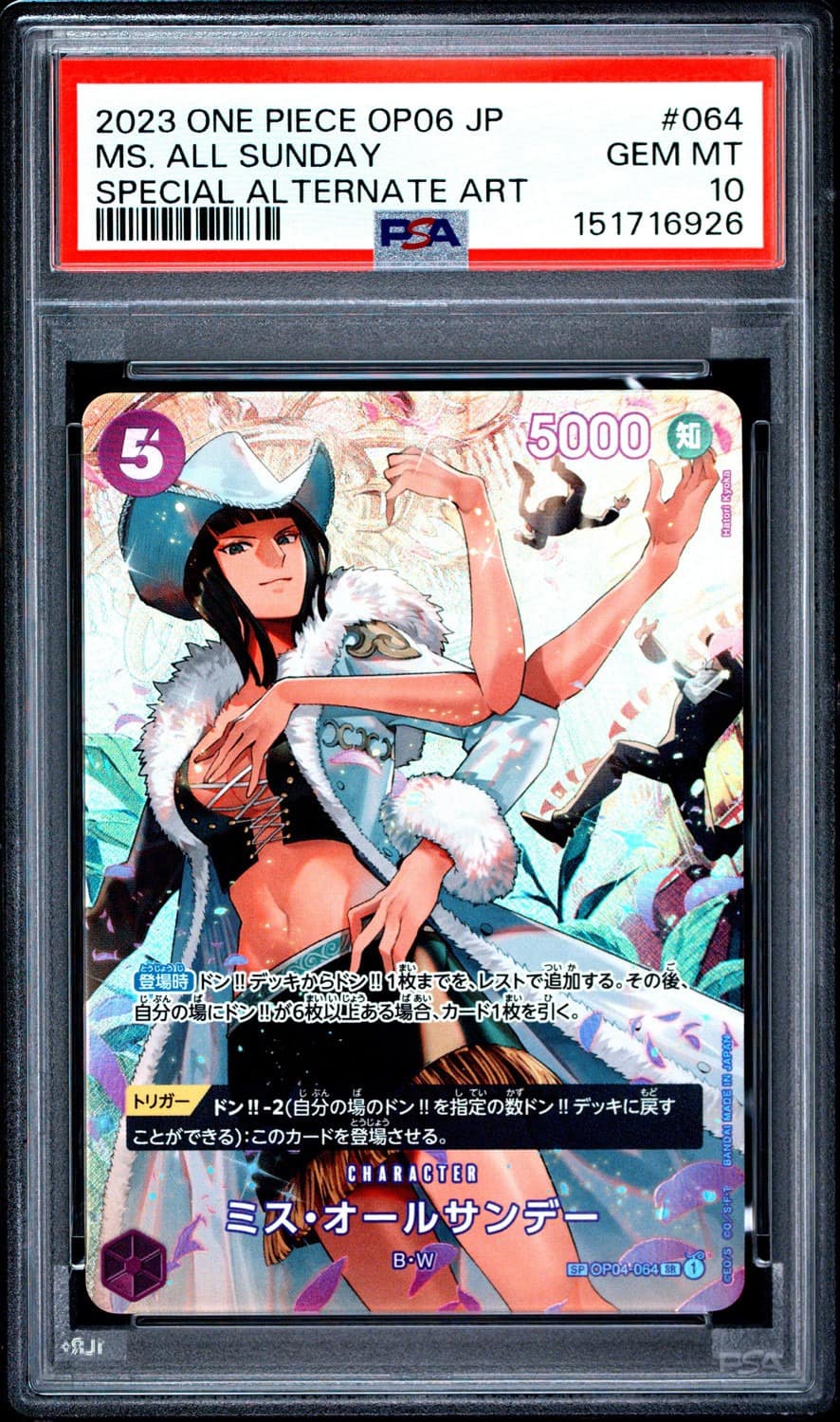 Ms. All Sunday Foil Sp
