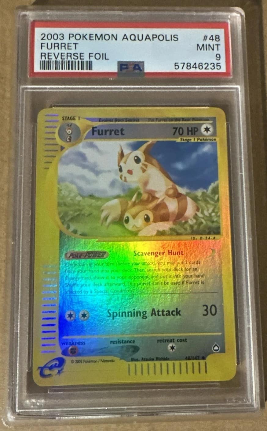 Furret