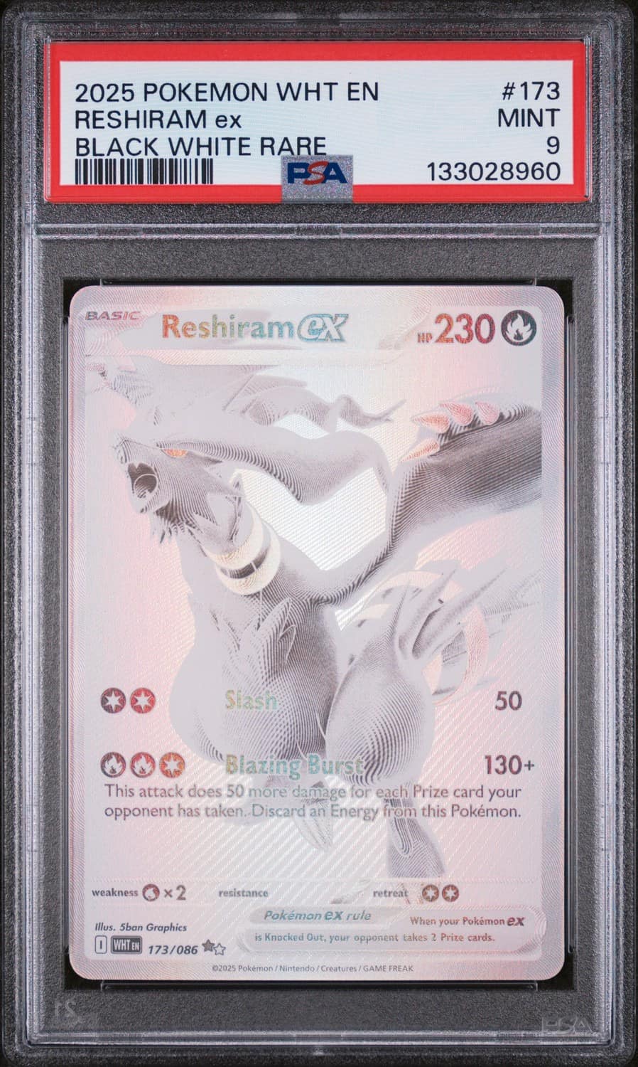 Reshiram Ex