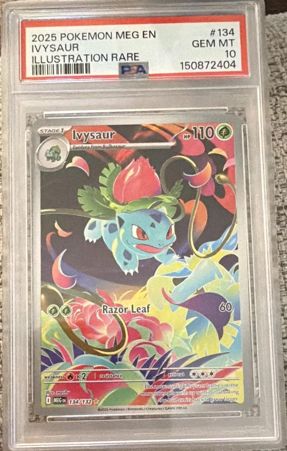 Ivysaur