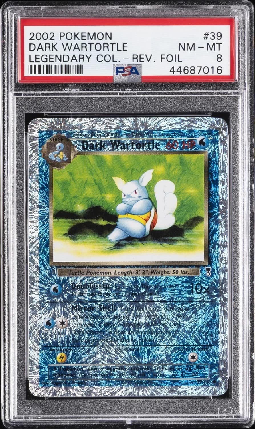Dark Wartortle