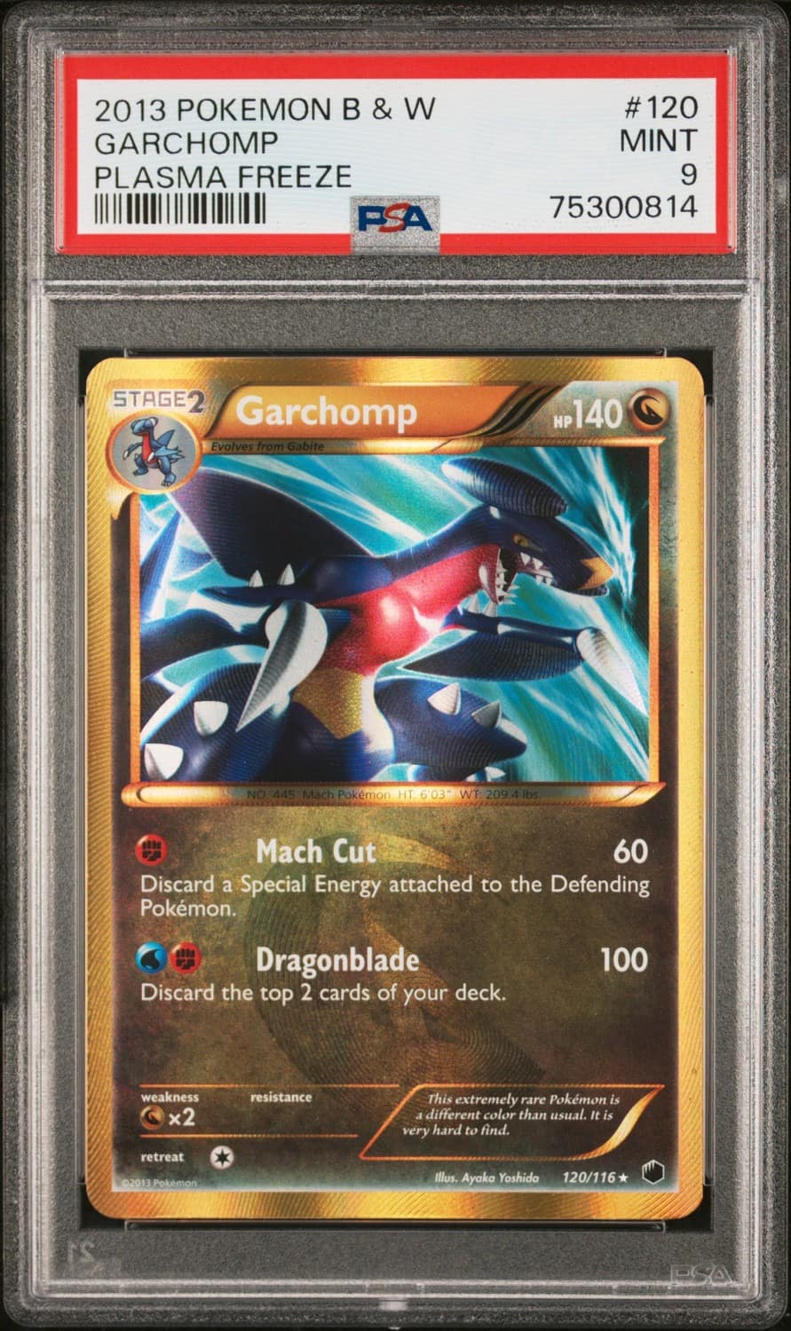 Garchomp