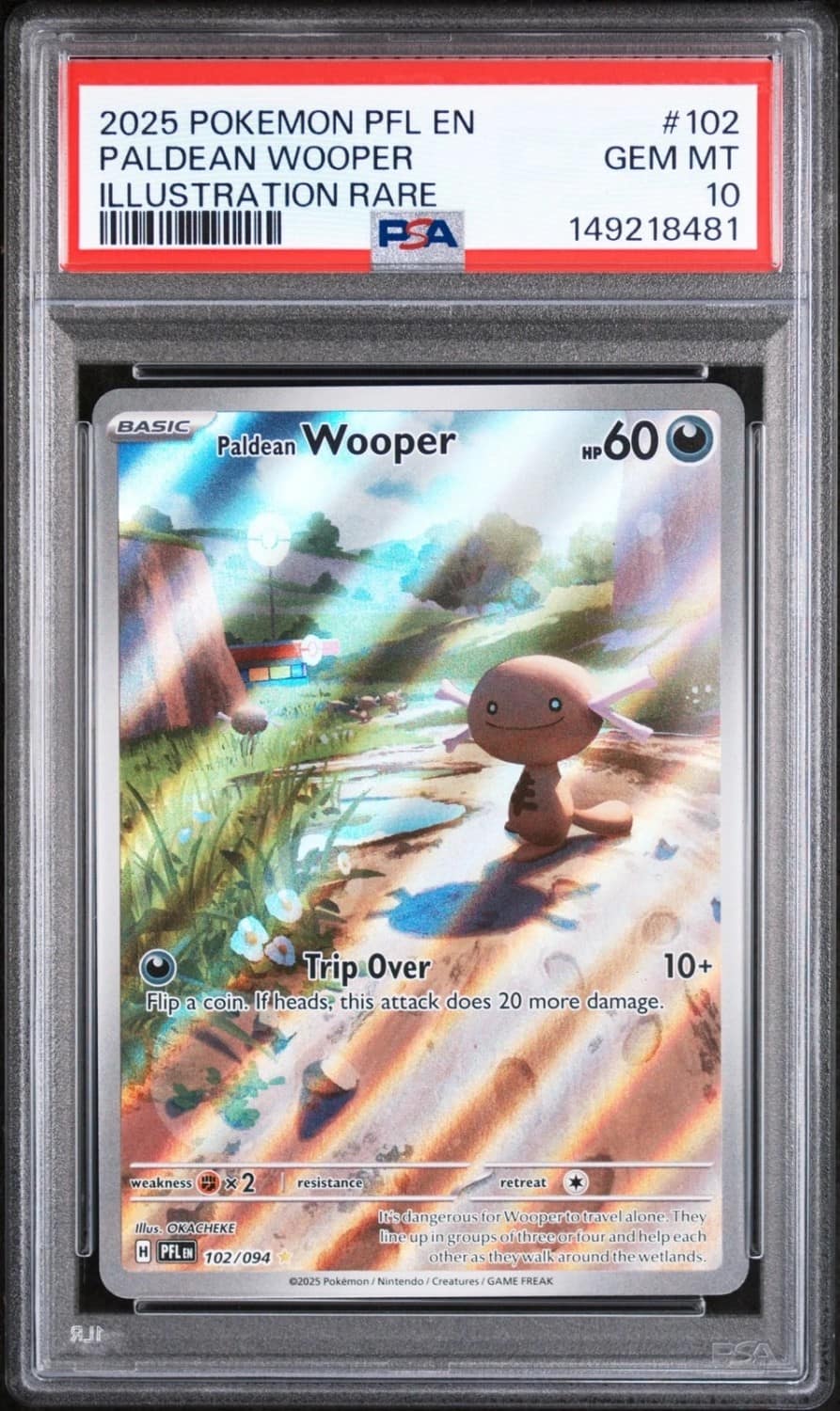 Paldean Wooper