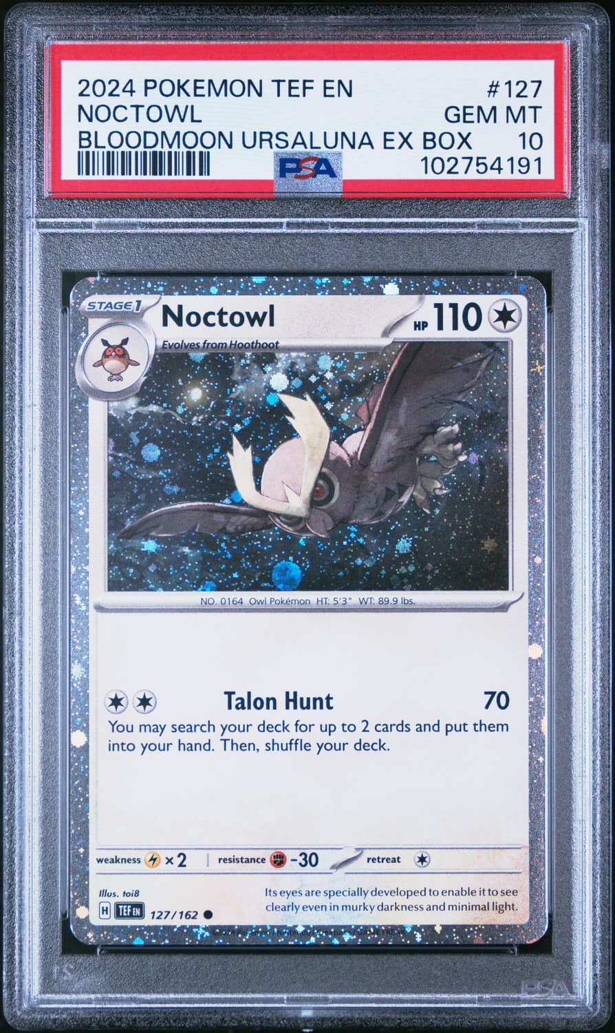 Noctowl