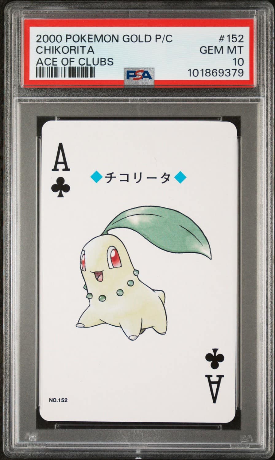 Chikorita