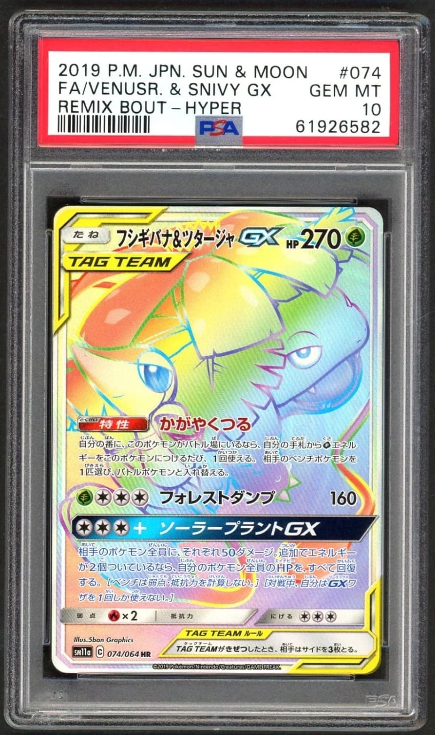 Venusaur & Snivy Gx