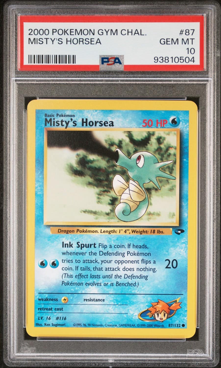Misty'S Horsea