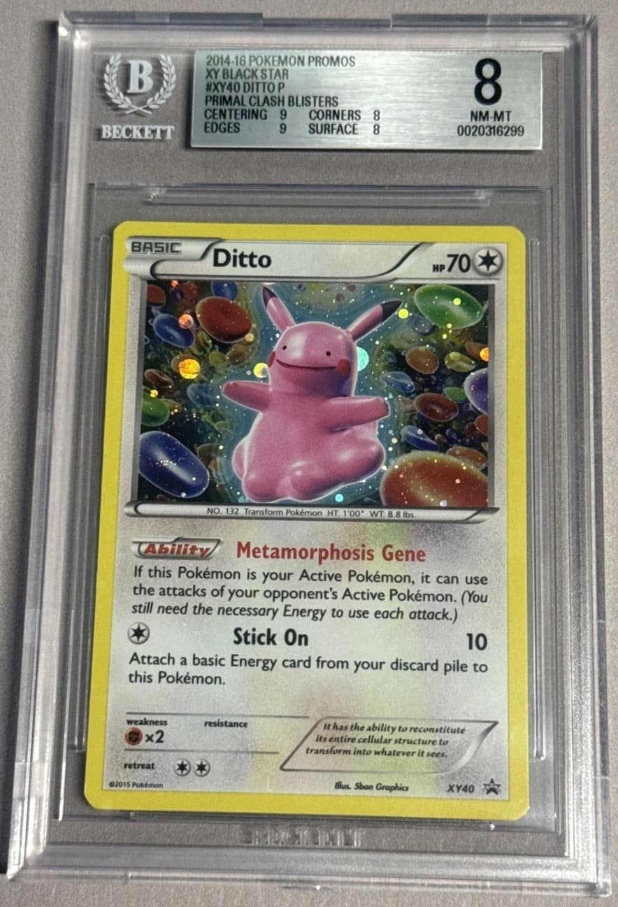 Ditto