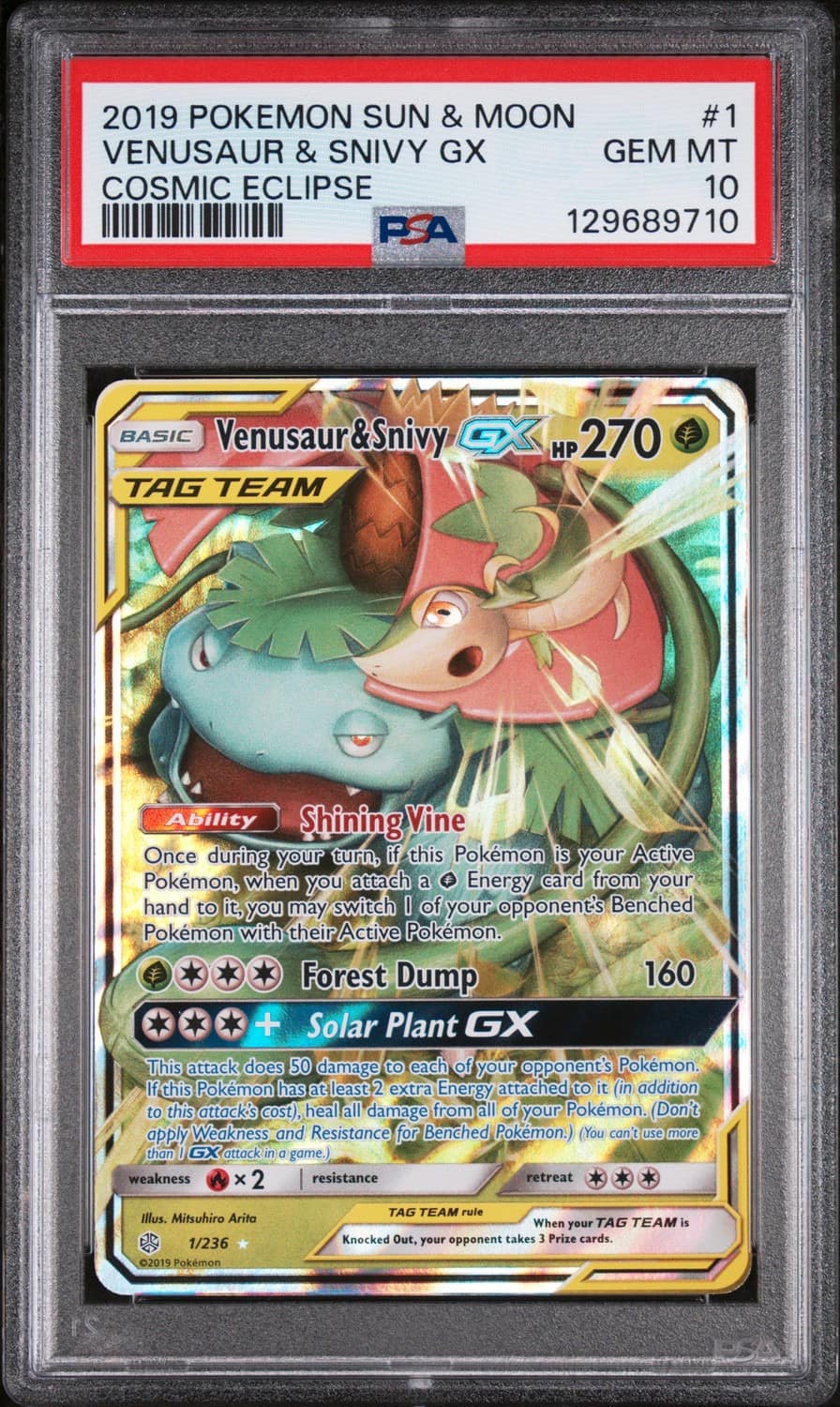 Venusaur & Snivy Gx
