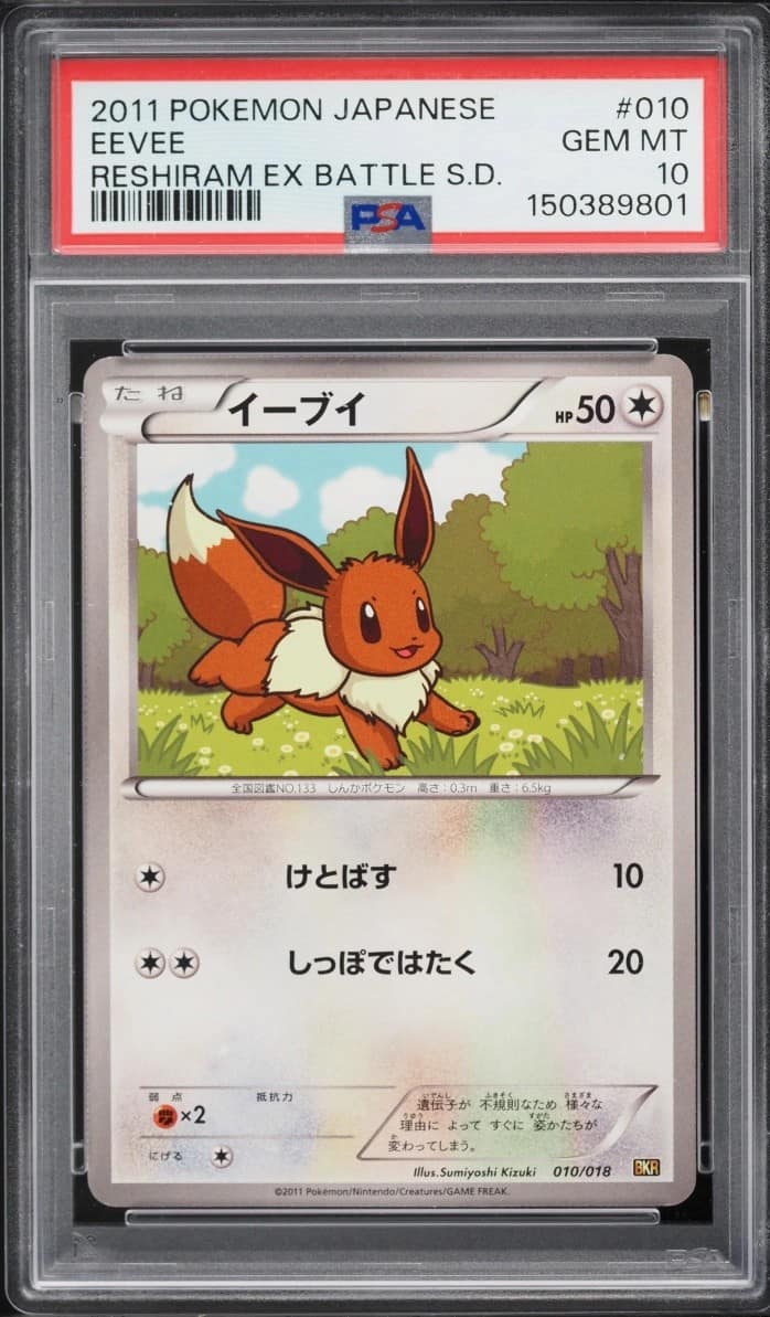 Eevee