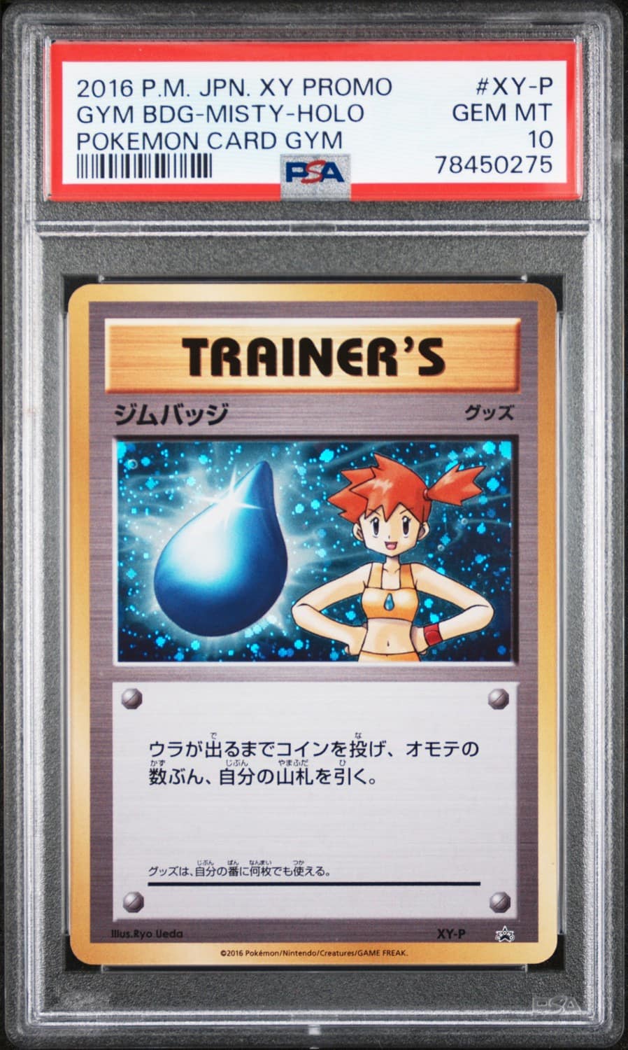 Gym Bdg-Misty