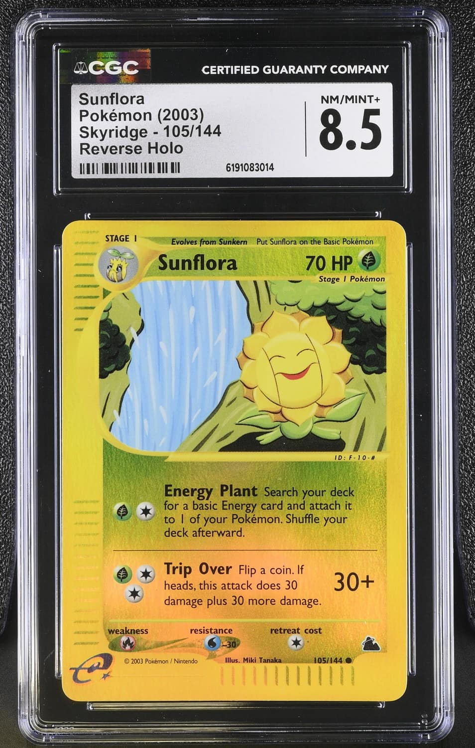 Sunflora