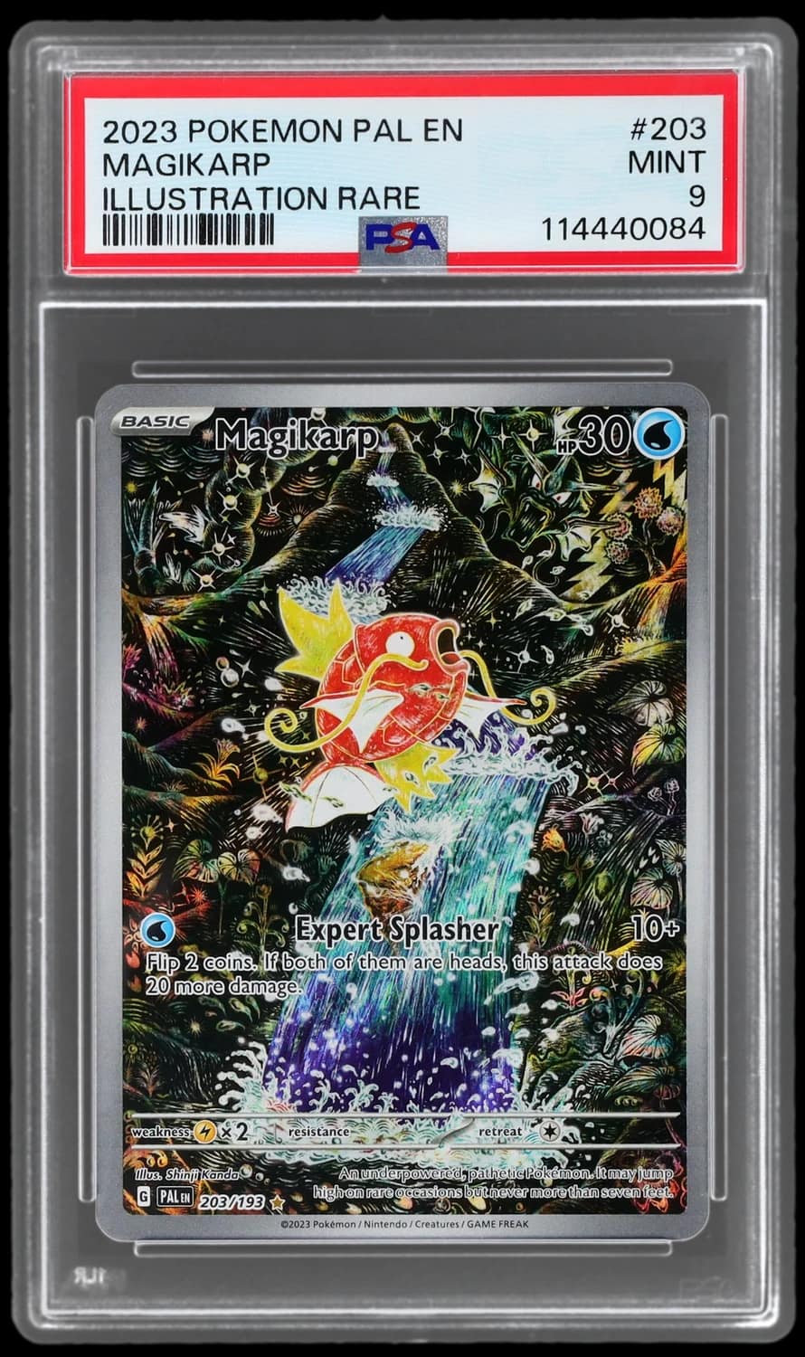 Magikarp