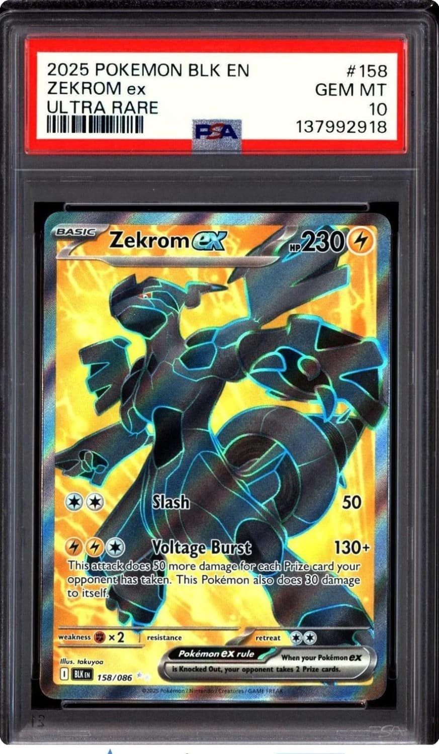 Zekrom Ex