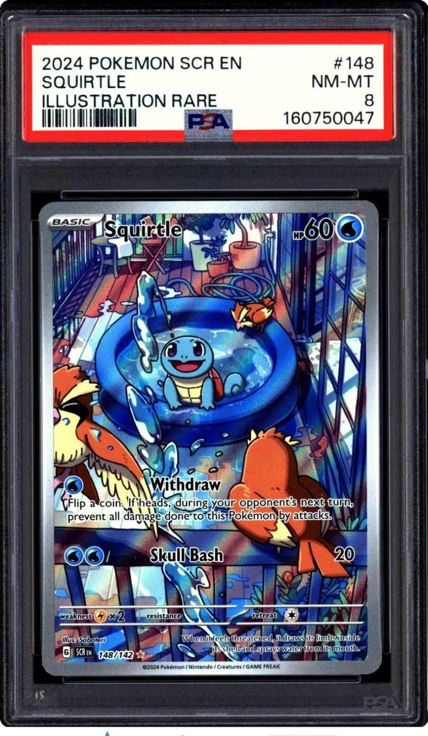 Squirtle