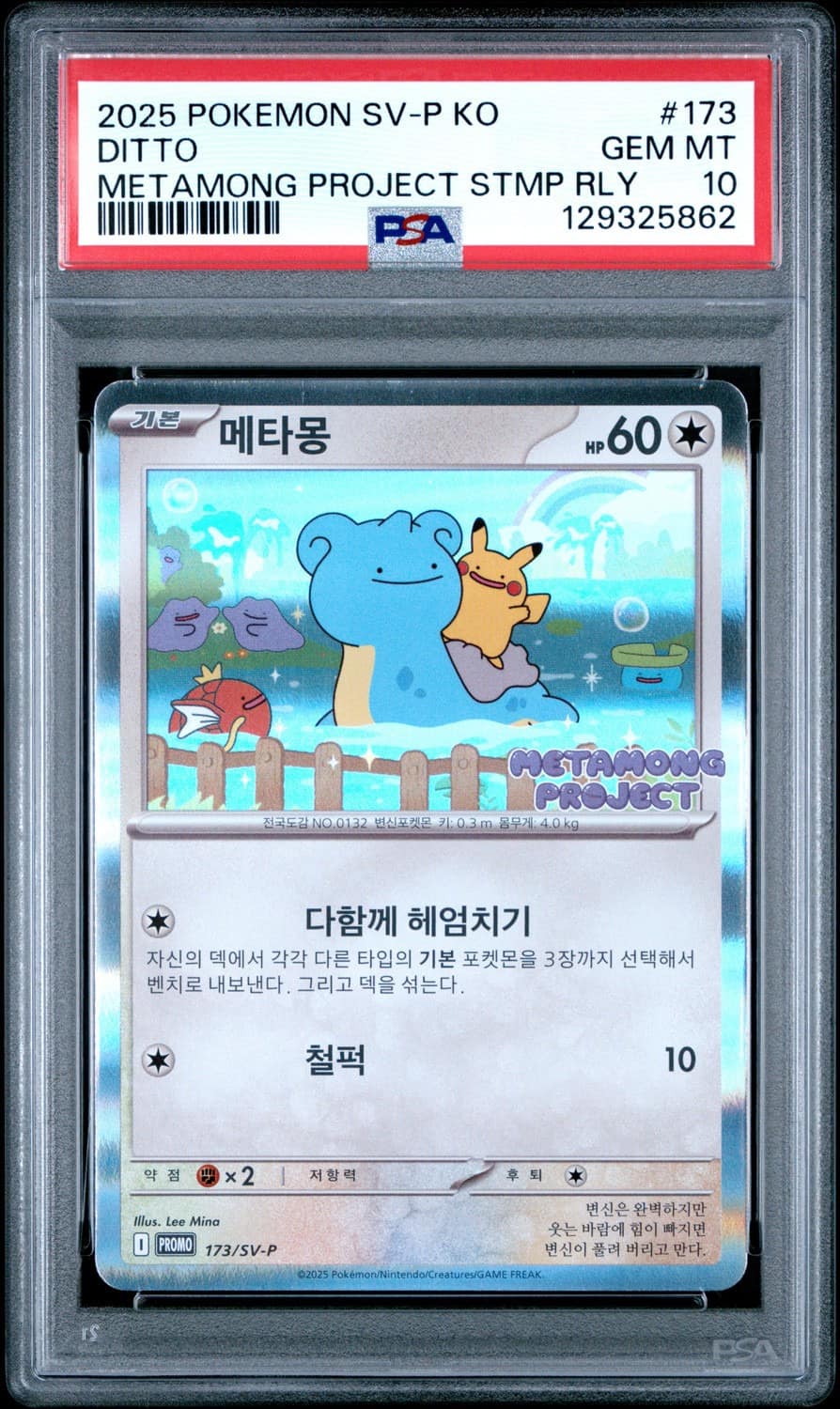 Ditto