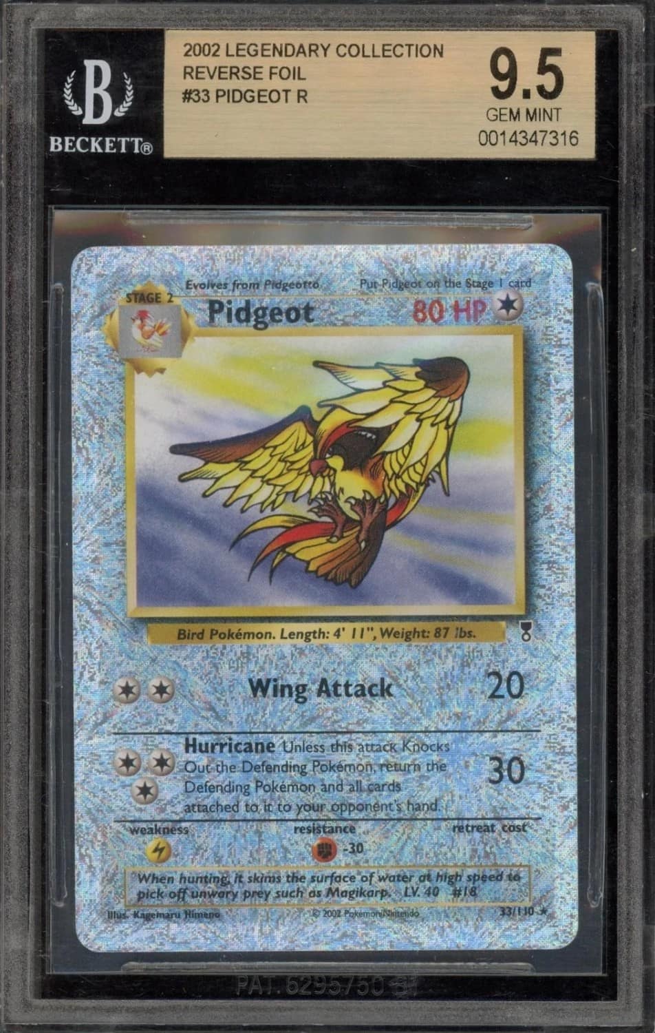 Pidgeot