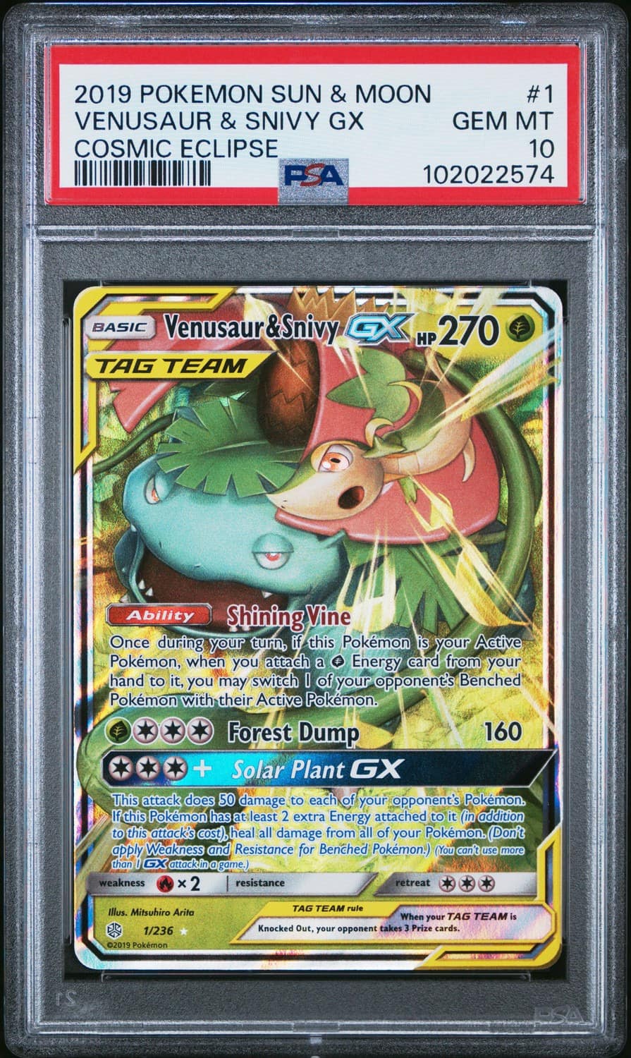 Venusaur & Snivy Gx