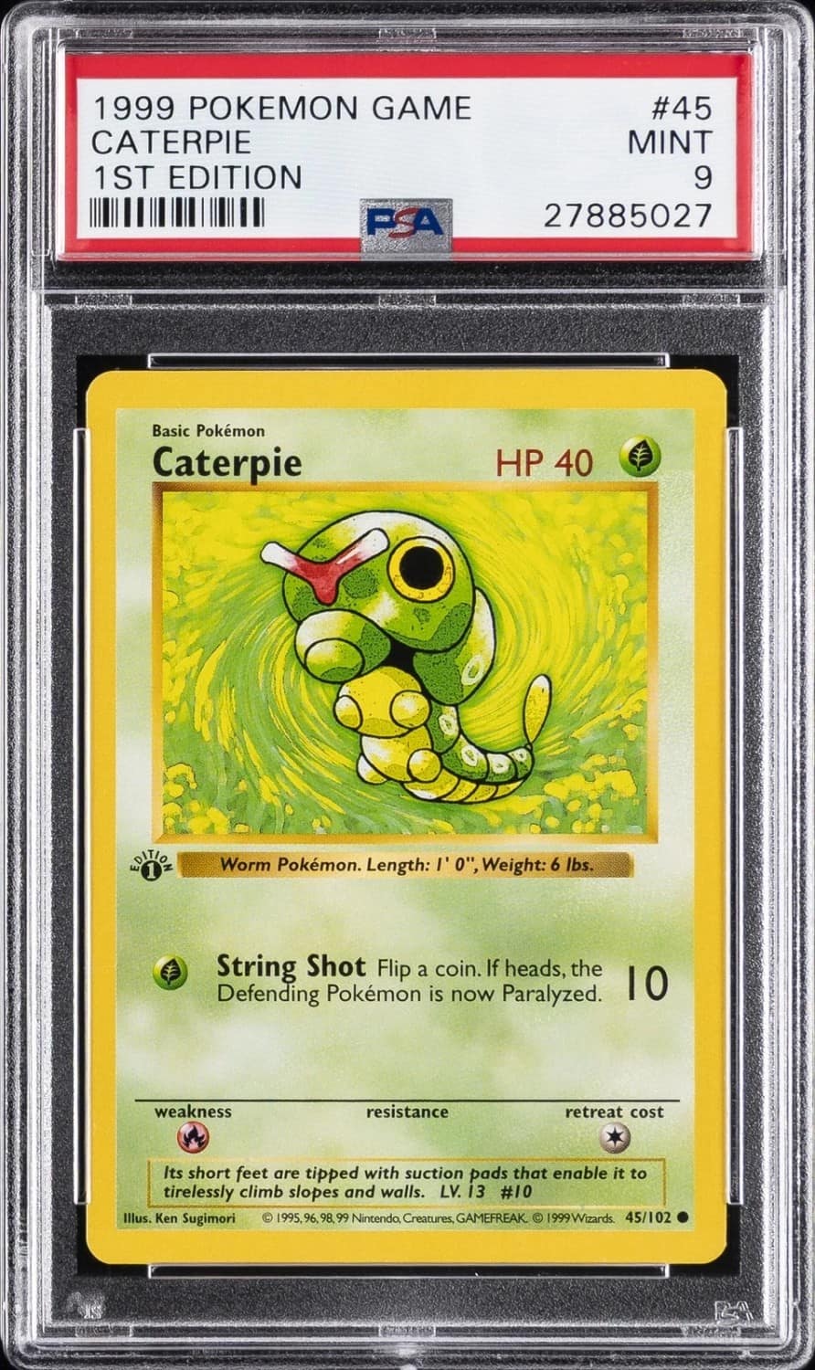 Caterpie