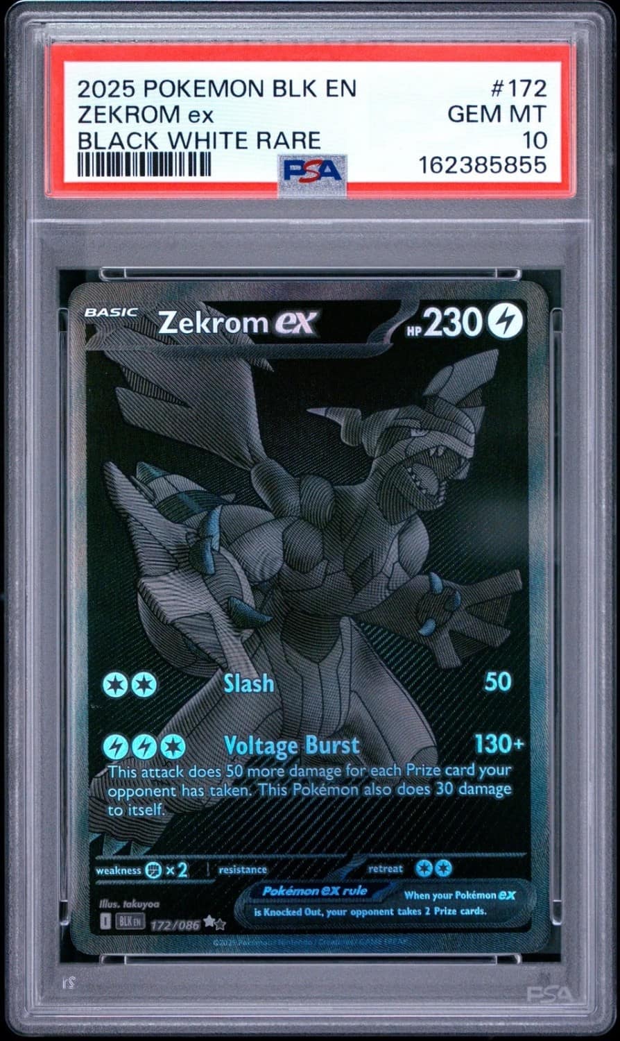 Zekrom Ex