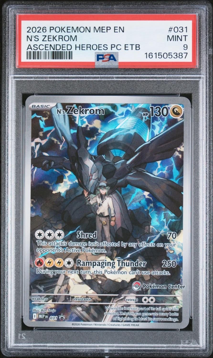N'S Zekrom