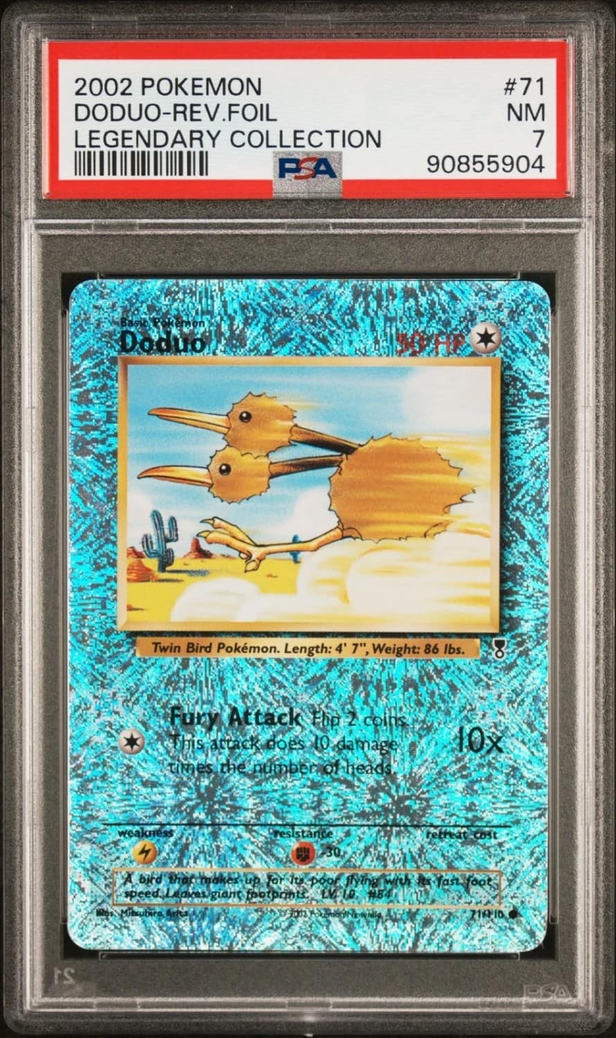 Doduo