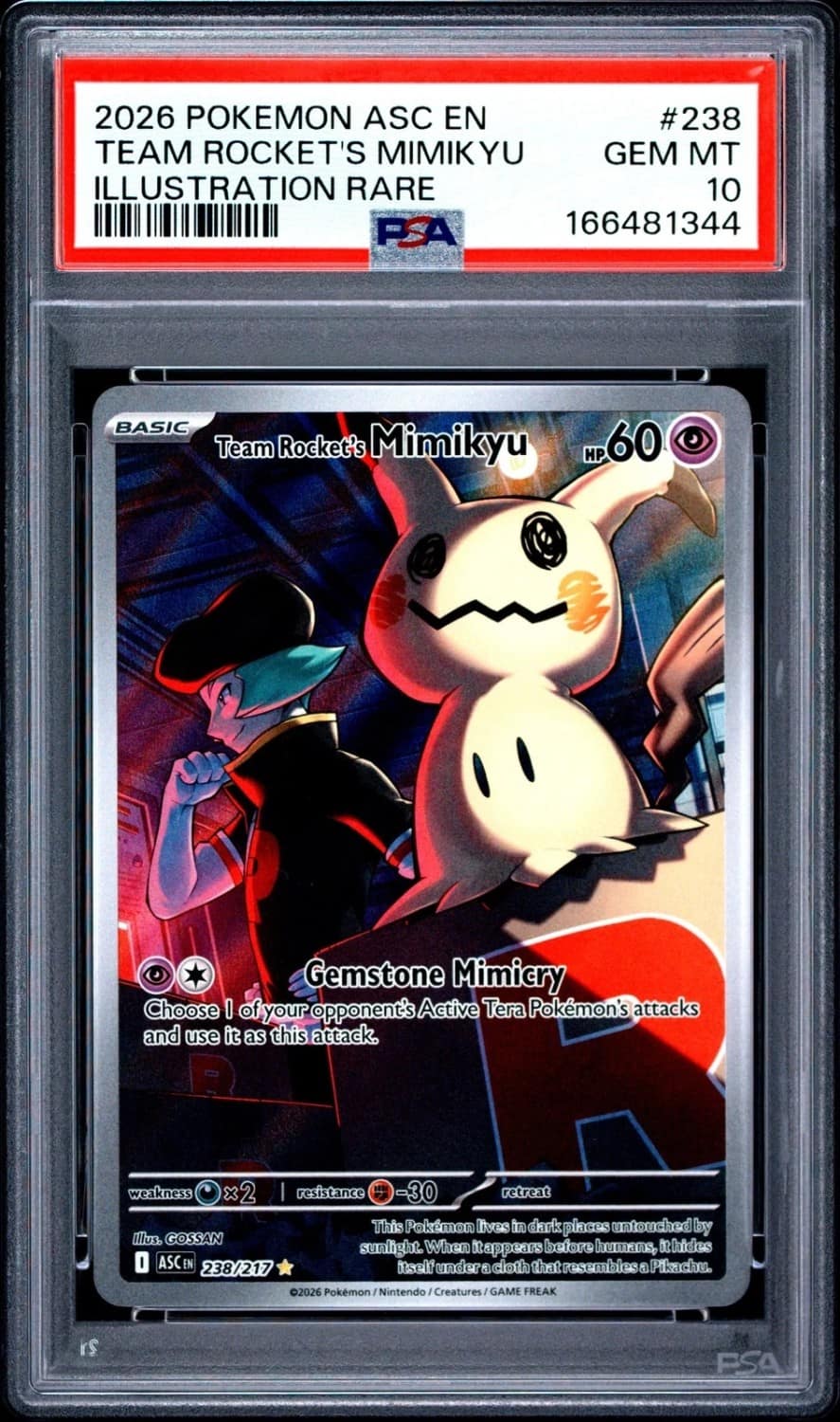 Team Rocket'S Mimikyu