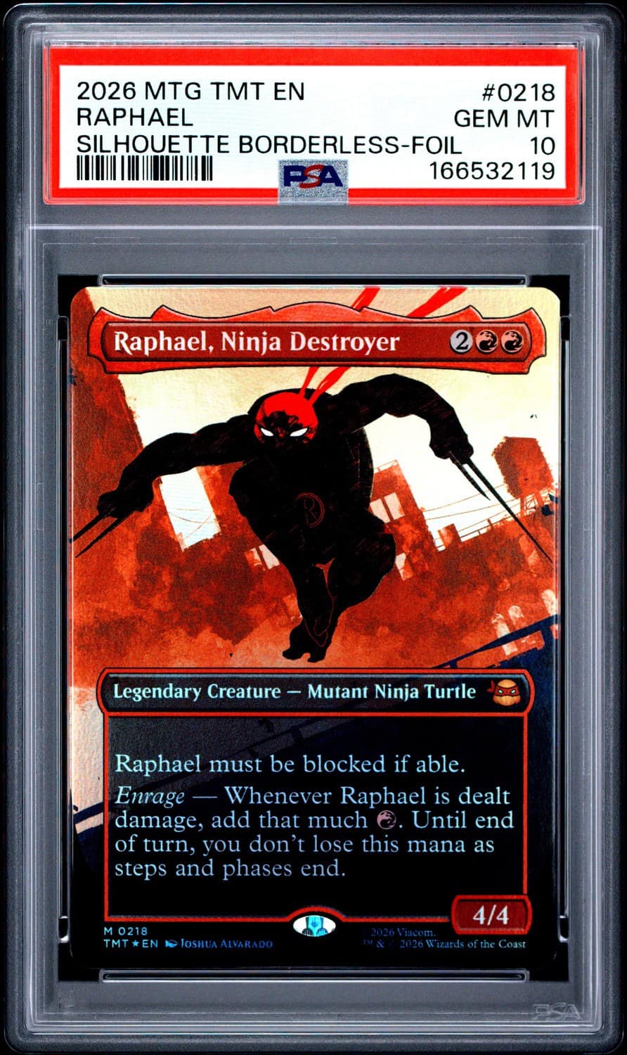 Raphael, Ninja Destroyer Borderless M
