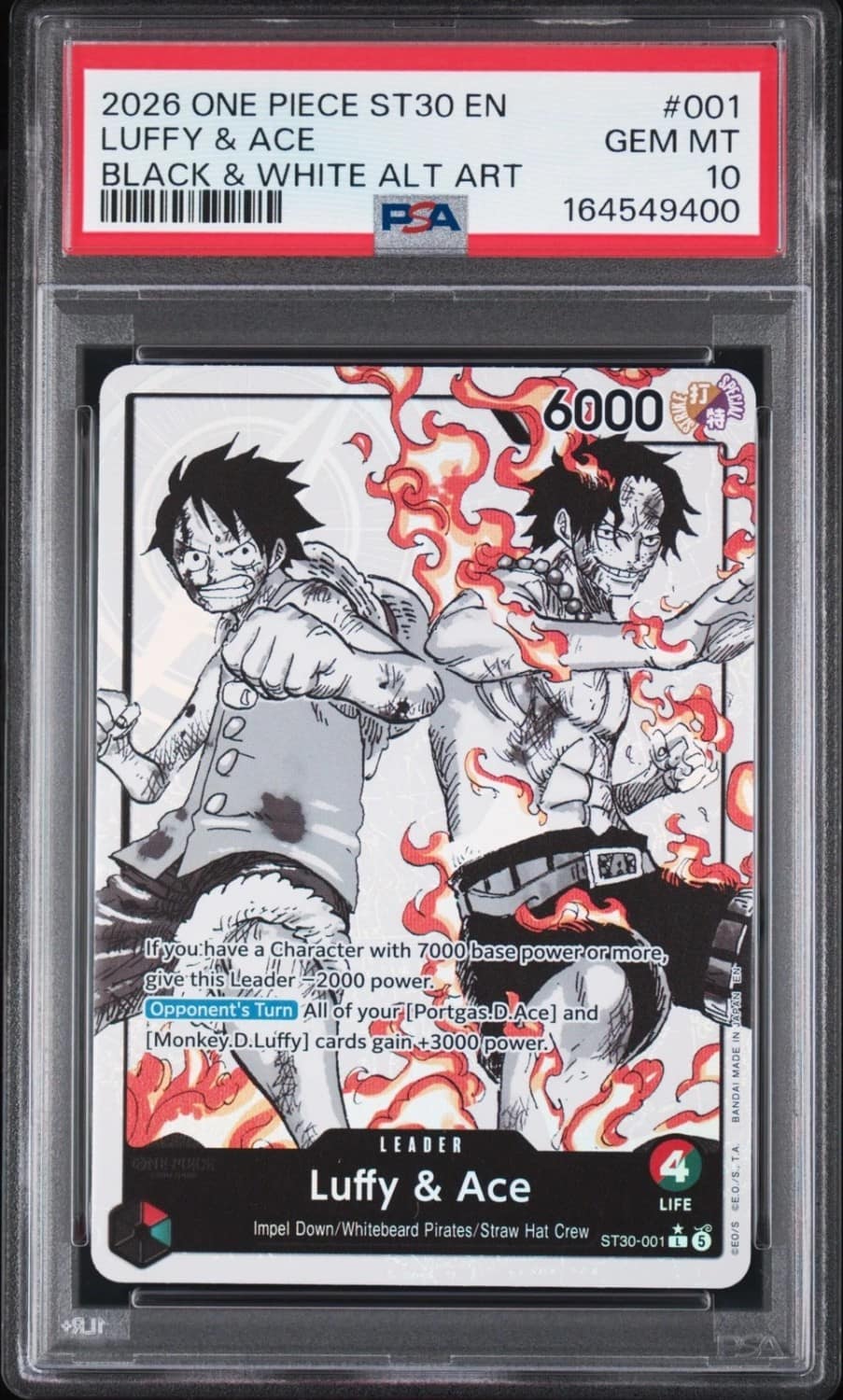 Luffy & Ace