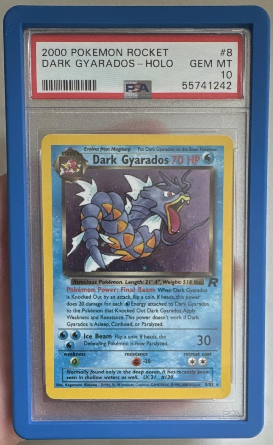 Dark Gyarados
