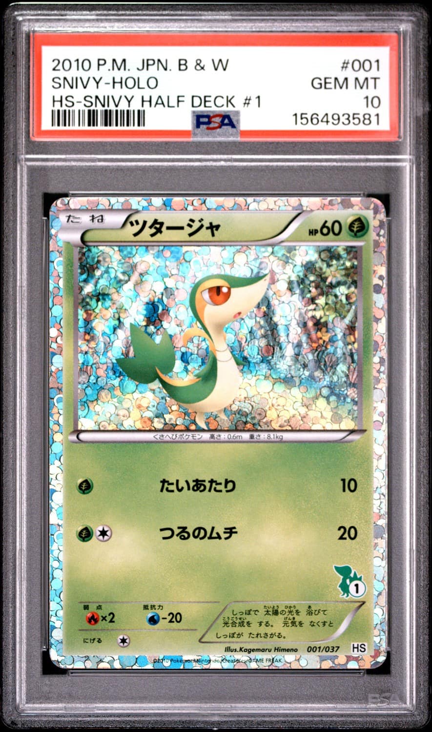 Snivy