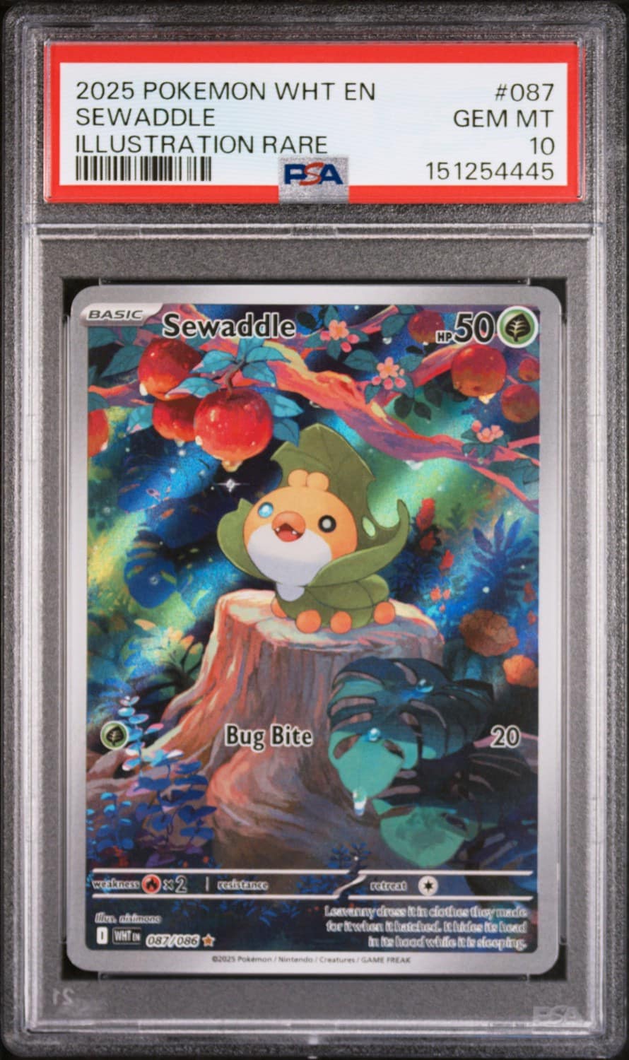 Sewaddle