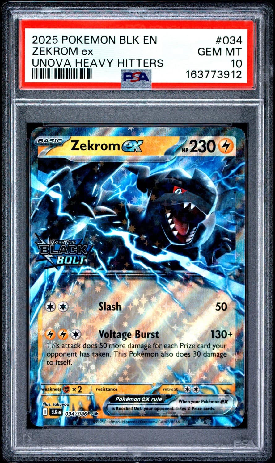 Zekrom Ex