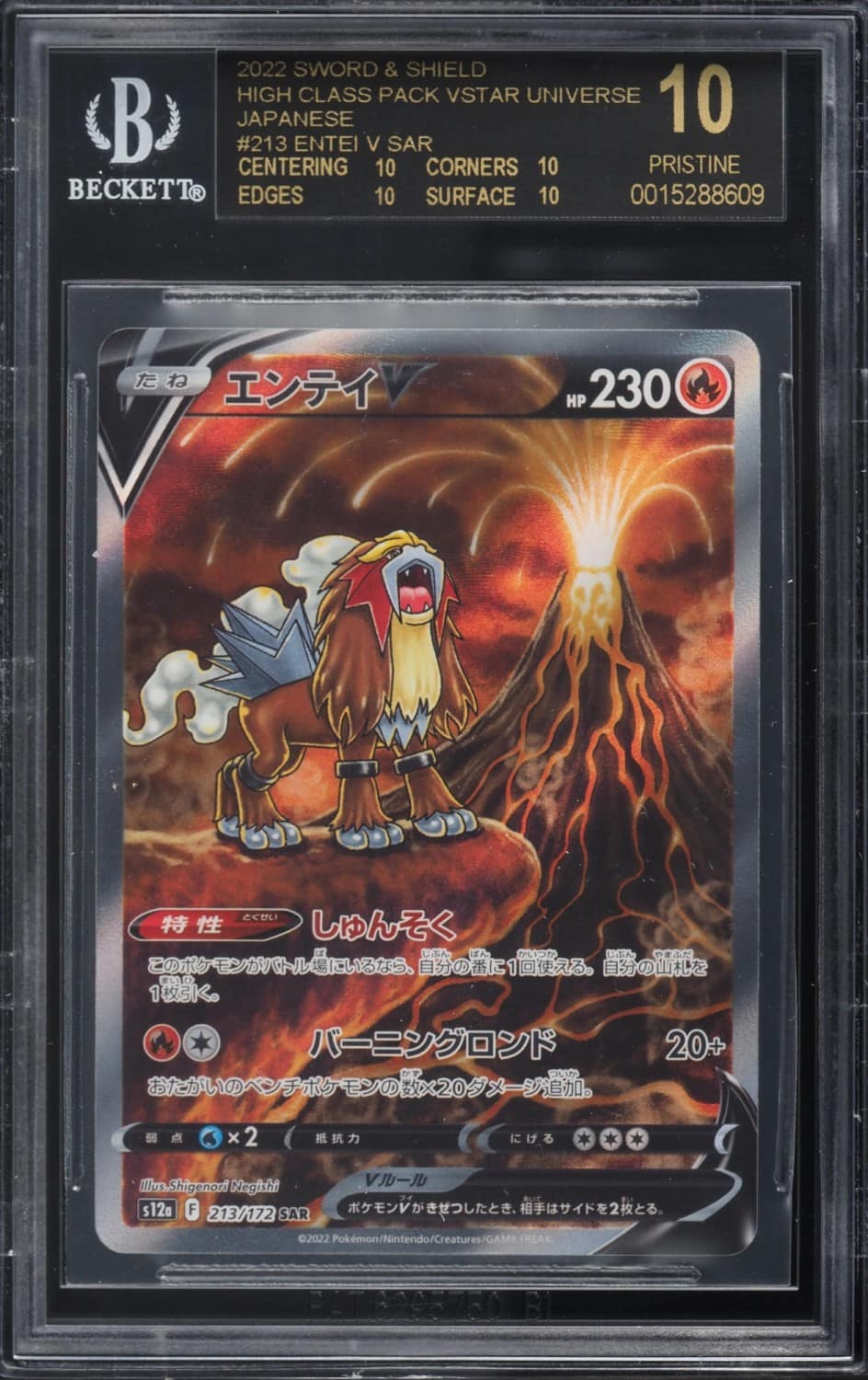Entei V