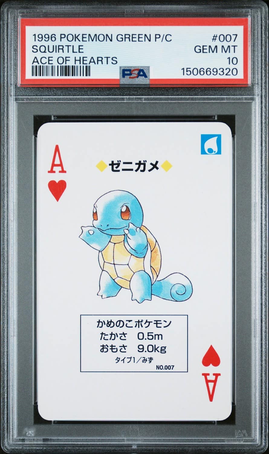 Squirtle