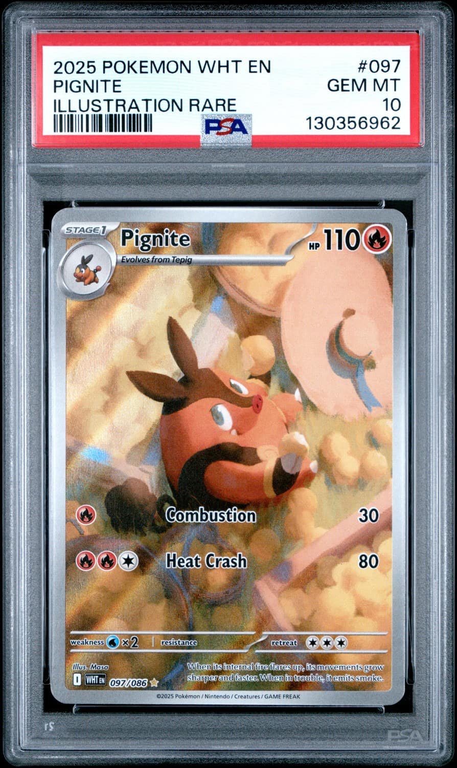 Pignite