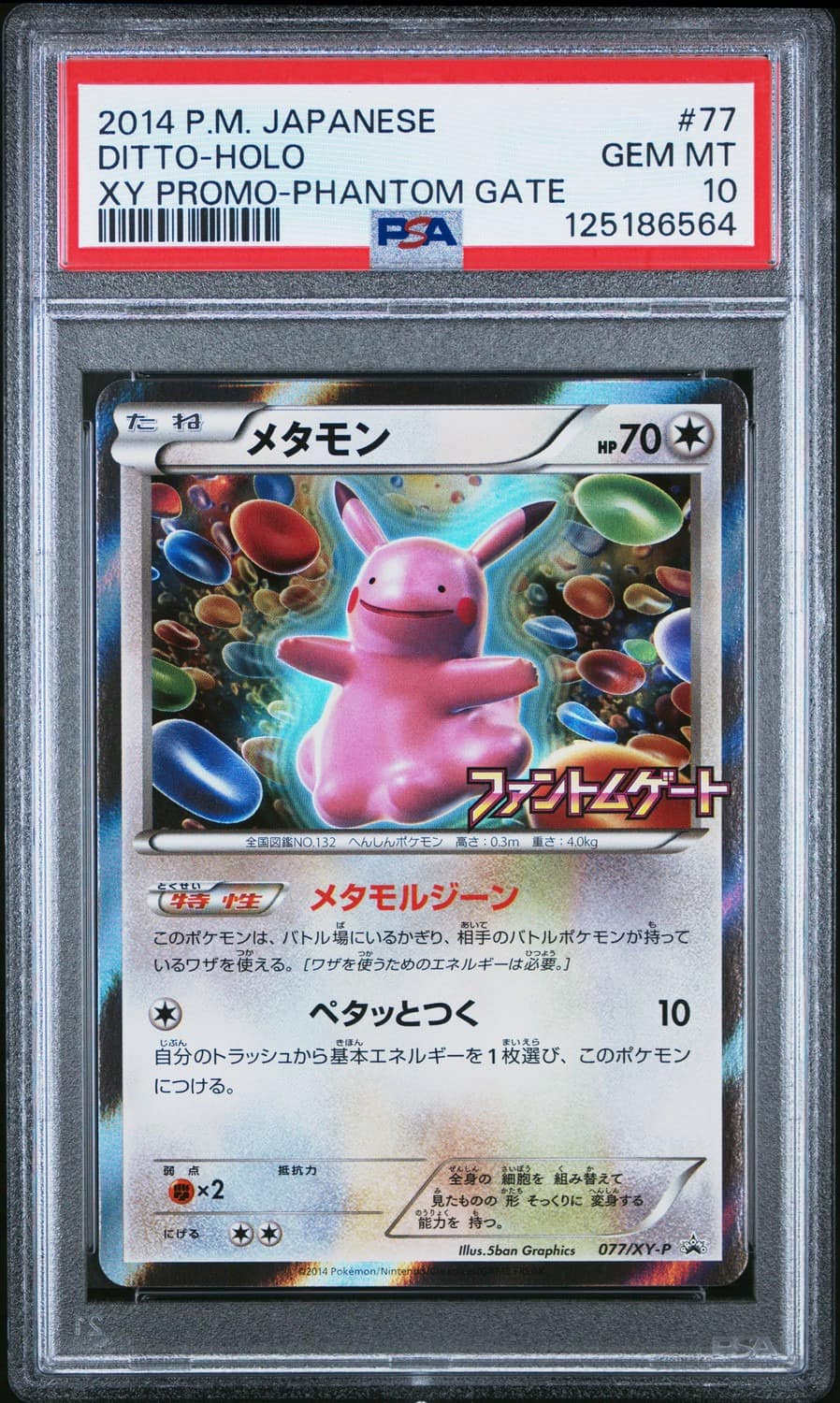 Ditto