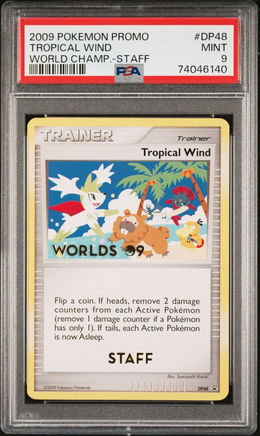 Tropical Wind