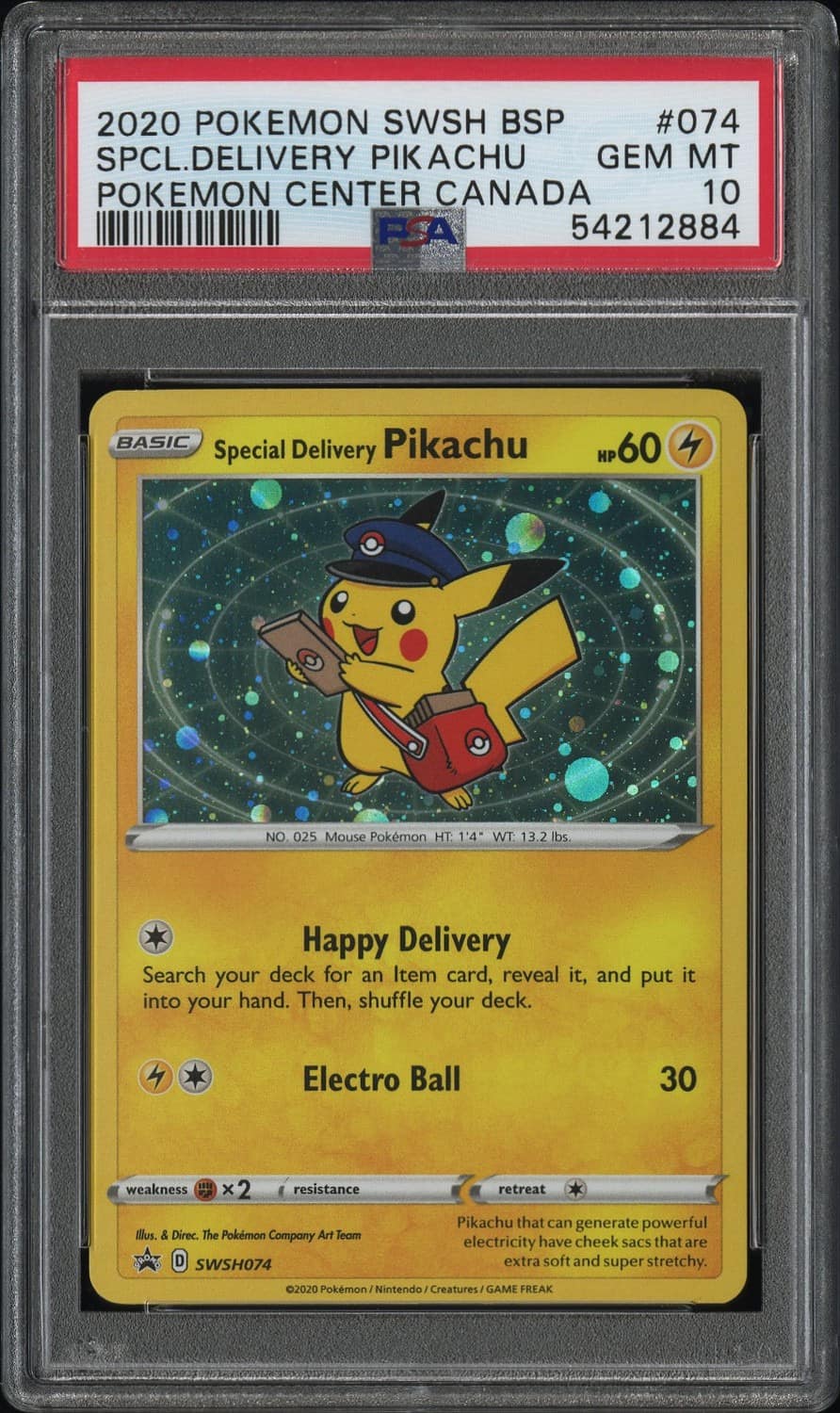 Special Delivery Pikachu