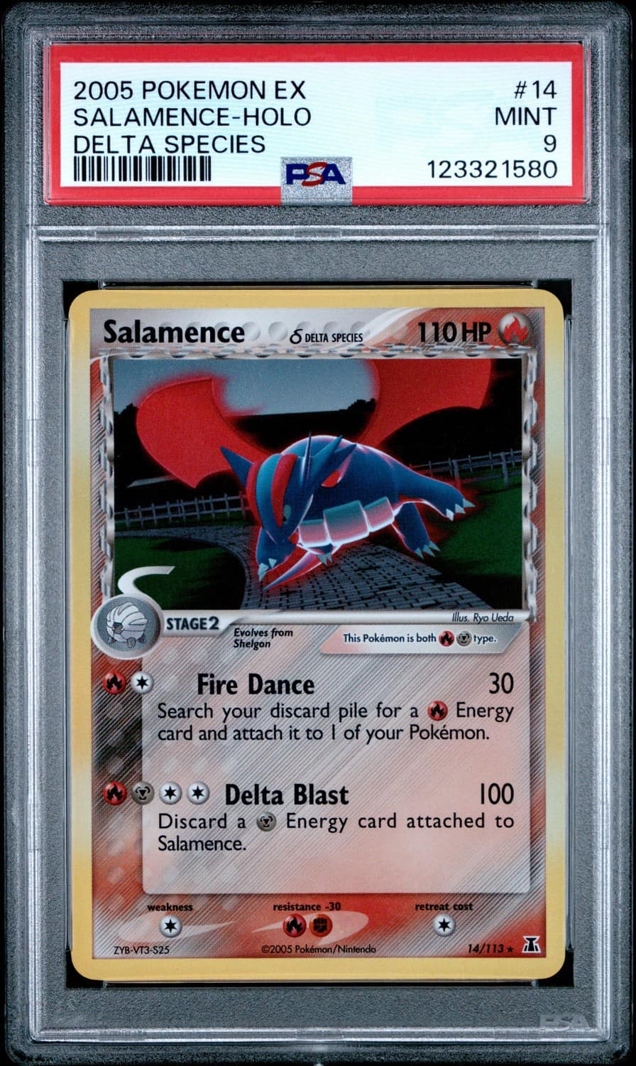 Salamence
