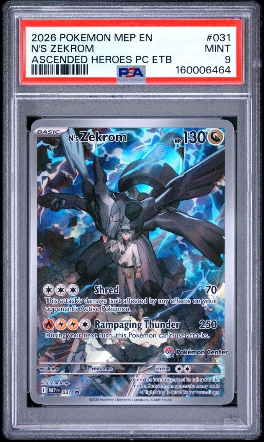 N'S Zekrom