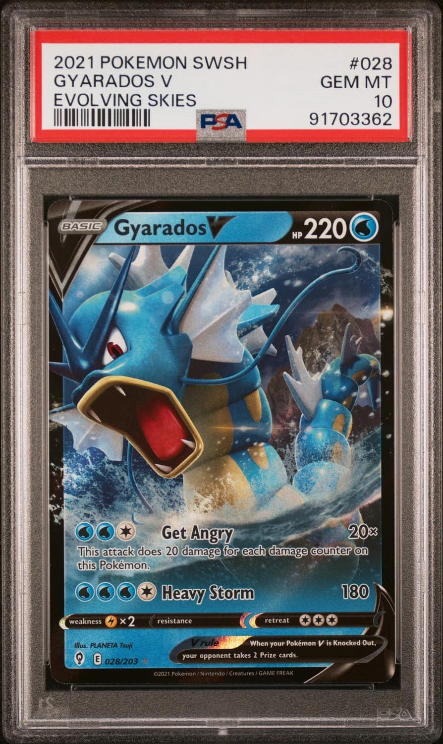 Gyarados V