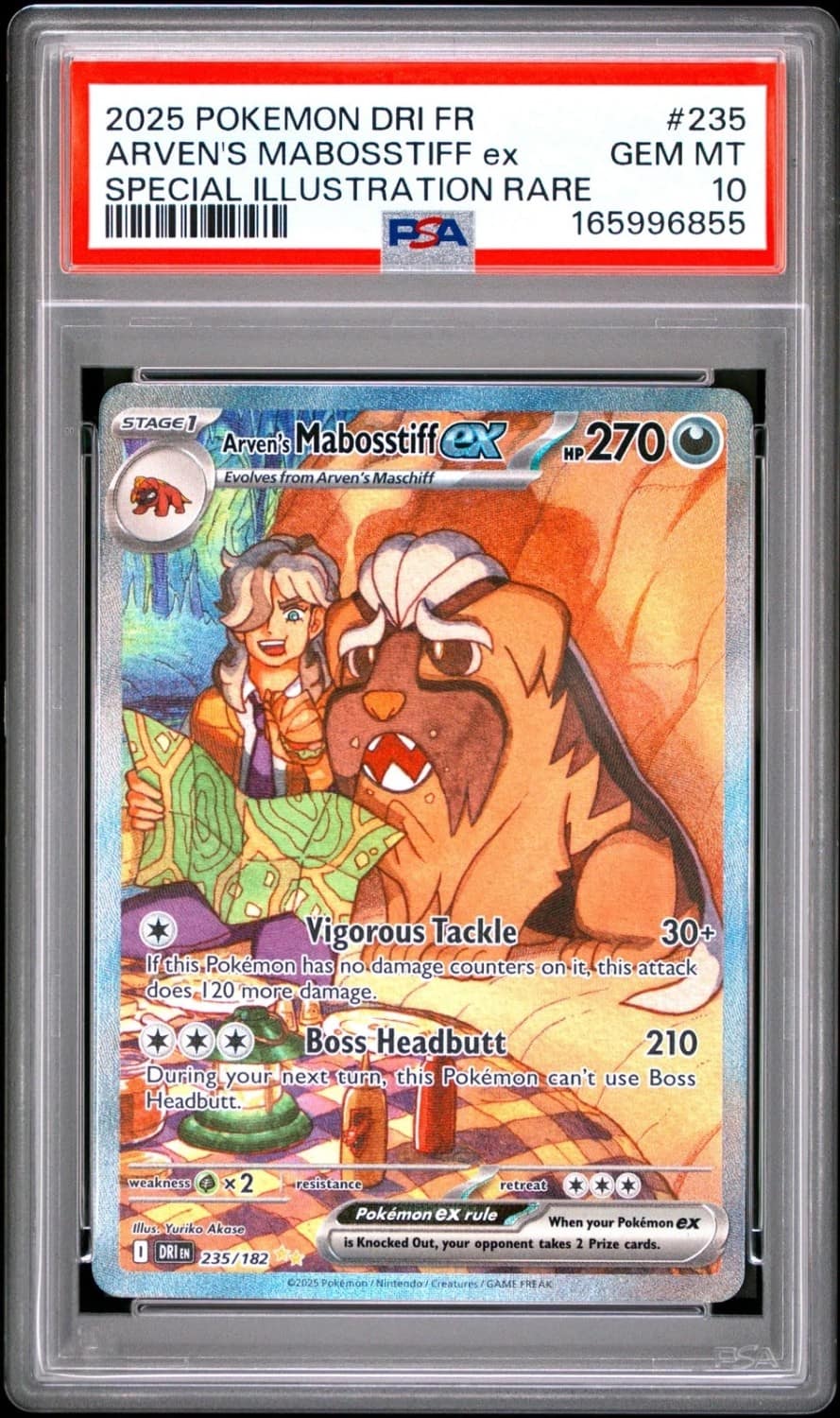 Arven'S Mabosstiff Ex