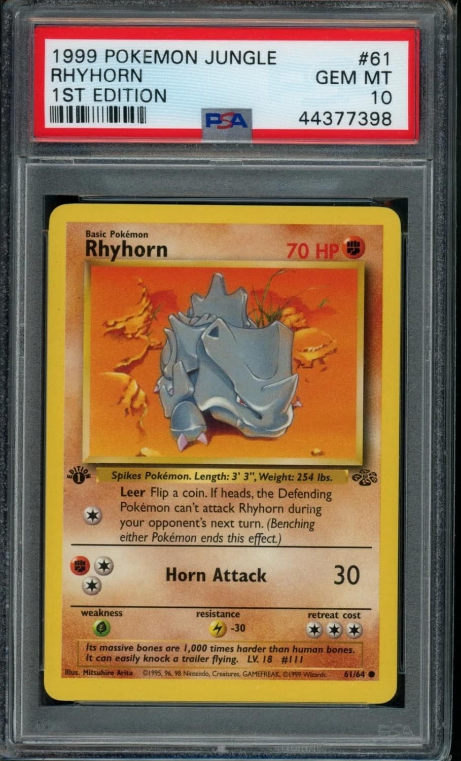 Rhyhorn