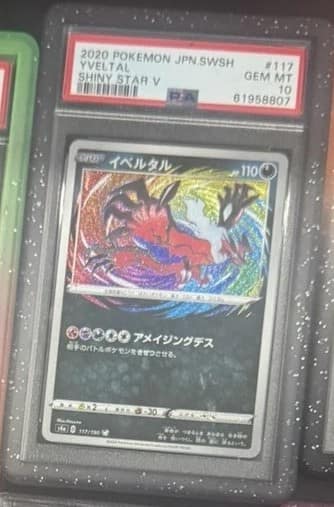 Yveltal